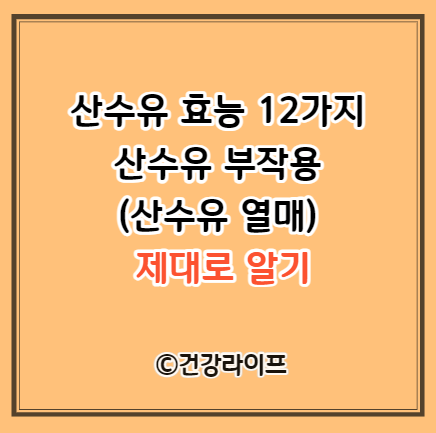 산수유 효능 12가지&#44; 부작용 (산수유 열매)