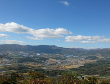 숲나들e 홈페이지 실시간 예약방법
