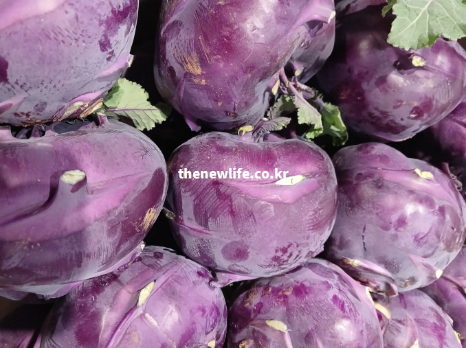 콜라비 영양성분을 설명하기 위한 여러 개가 쌓여 있는 보라색 콜라비 실물 사진