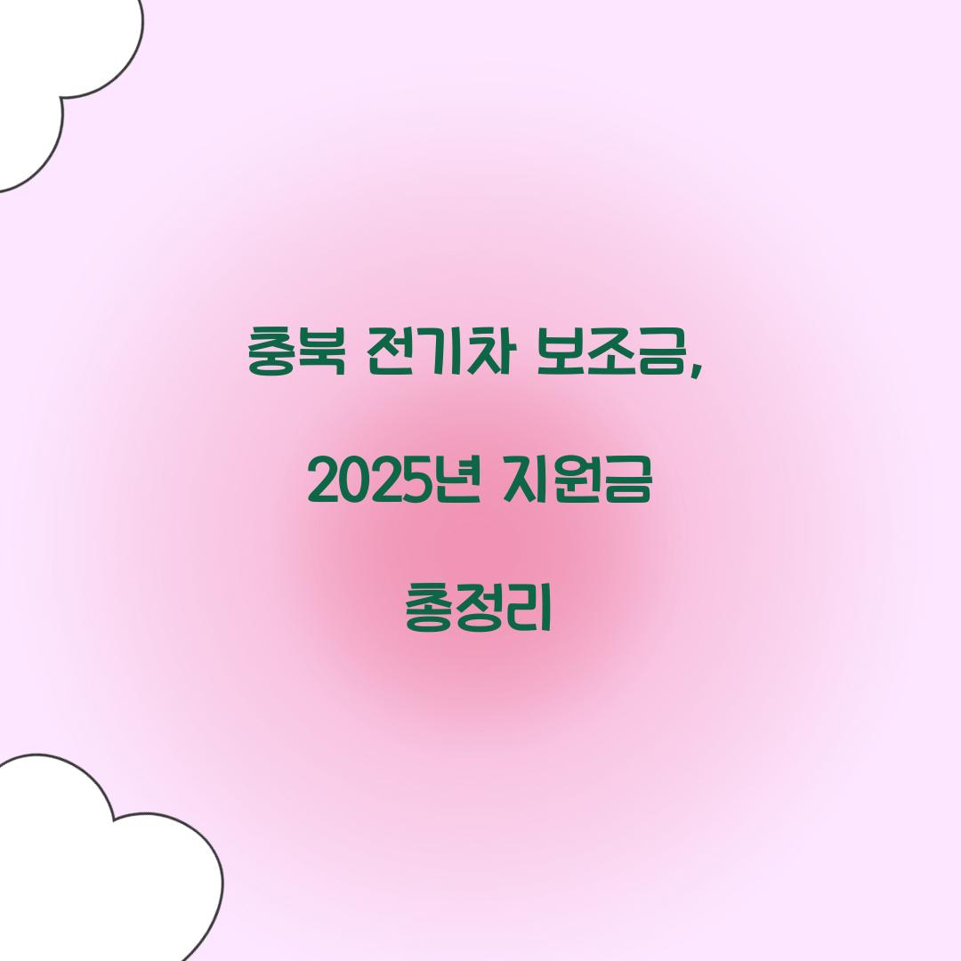 충북 전기차 보조금