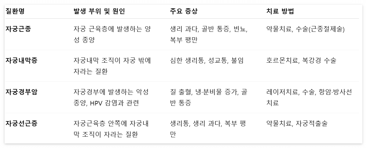 자궁 질환 종류별 정리표
