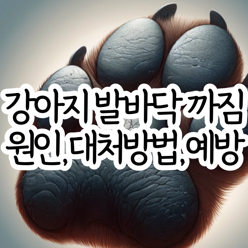강아지 발바닥 까짐 이유 대처 방법 예방법