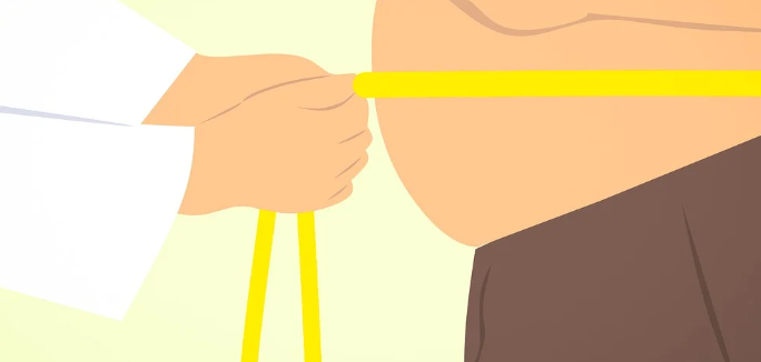 눈에 안 보이는 살 - 내장지방과 염증의 상관관계 분석기