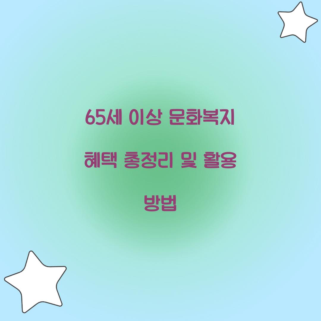 65세 이상 문화복지