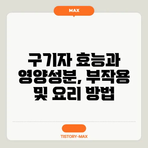 구기자 효능과 영양성분, 부작용 및 요리 방법