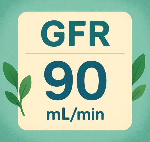GFR 수치로 보는 신장 상태 관련 사진