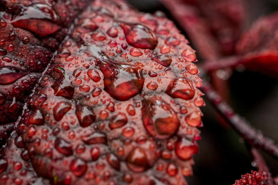 Hemorrhage