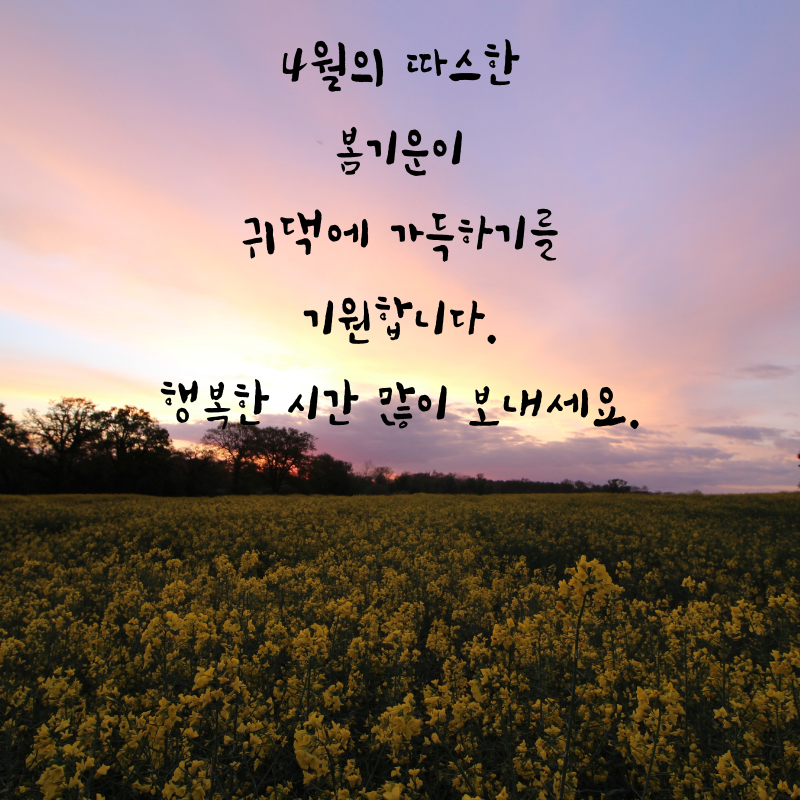 4월 인사말 문구 이미지 모음집