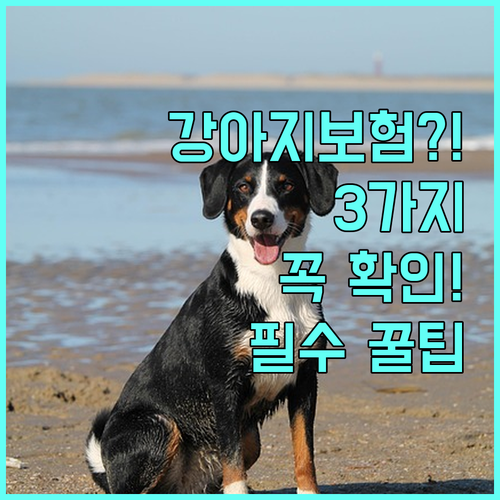강아지 보험 가입 전 꼭 확인해야 할..