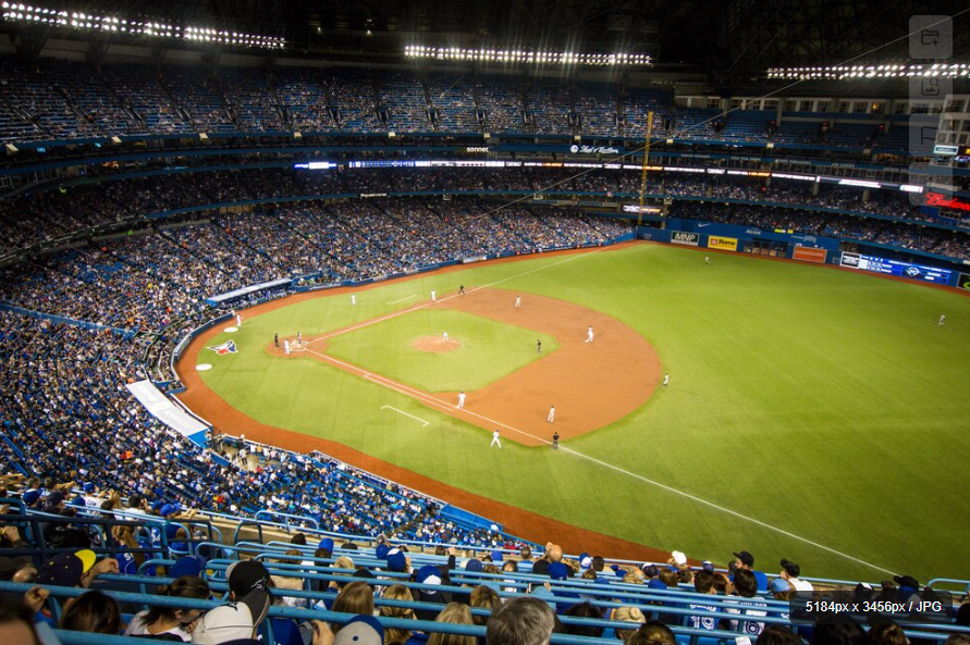 MLB 야구 경기모습