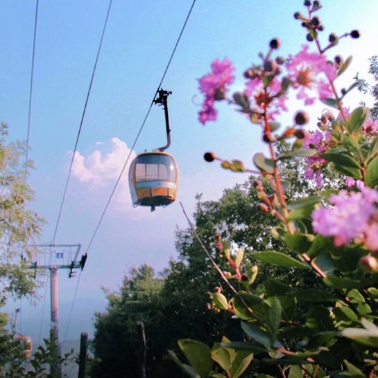 팔공산케이블카-대구-가볼만한곳-추천