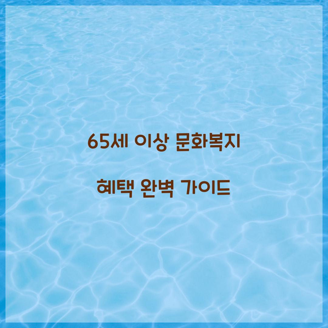 65세 이상 문화복지