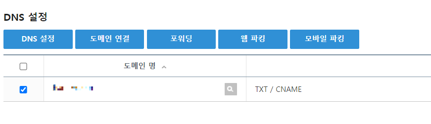 가비아 DNS 설정