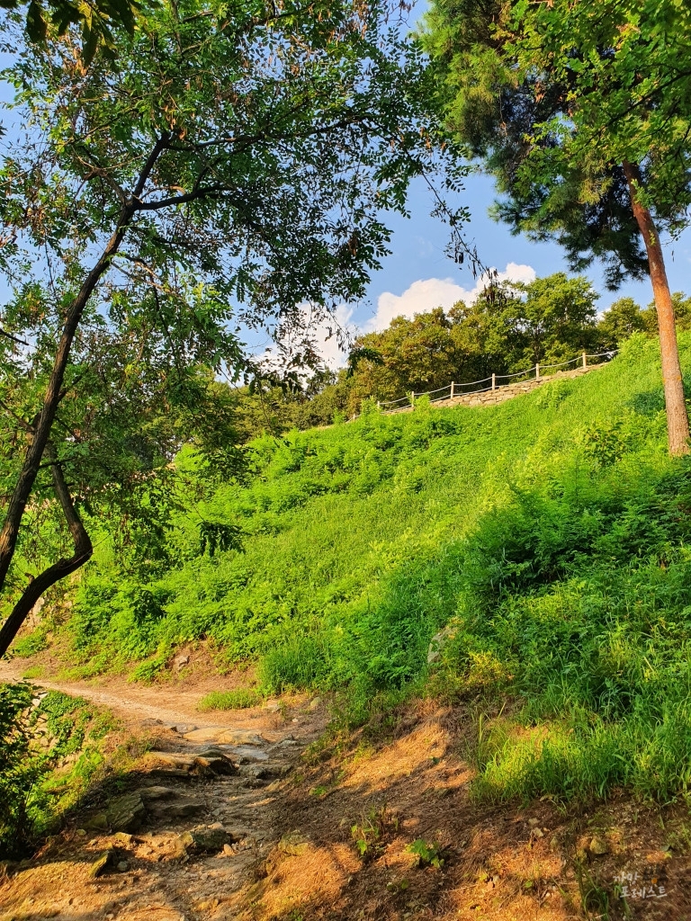 독산성 등산로