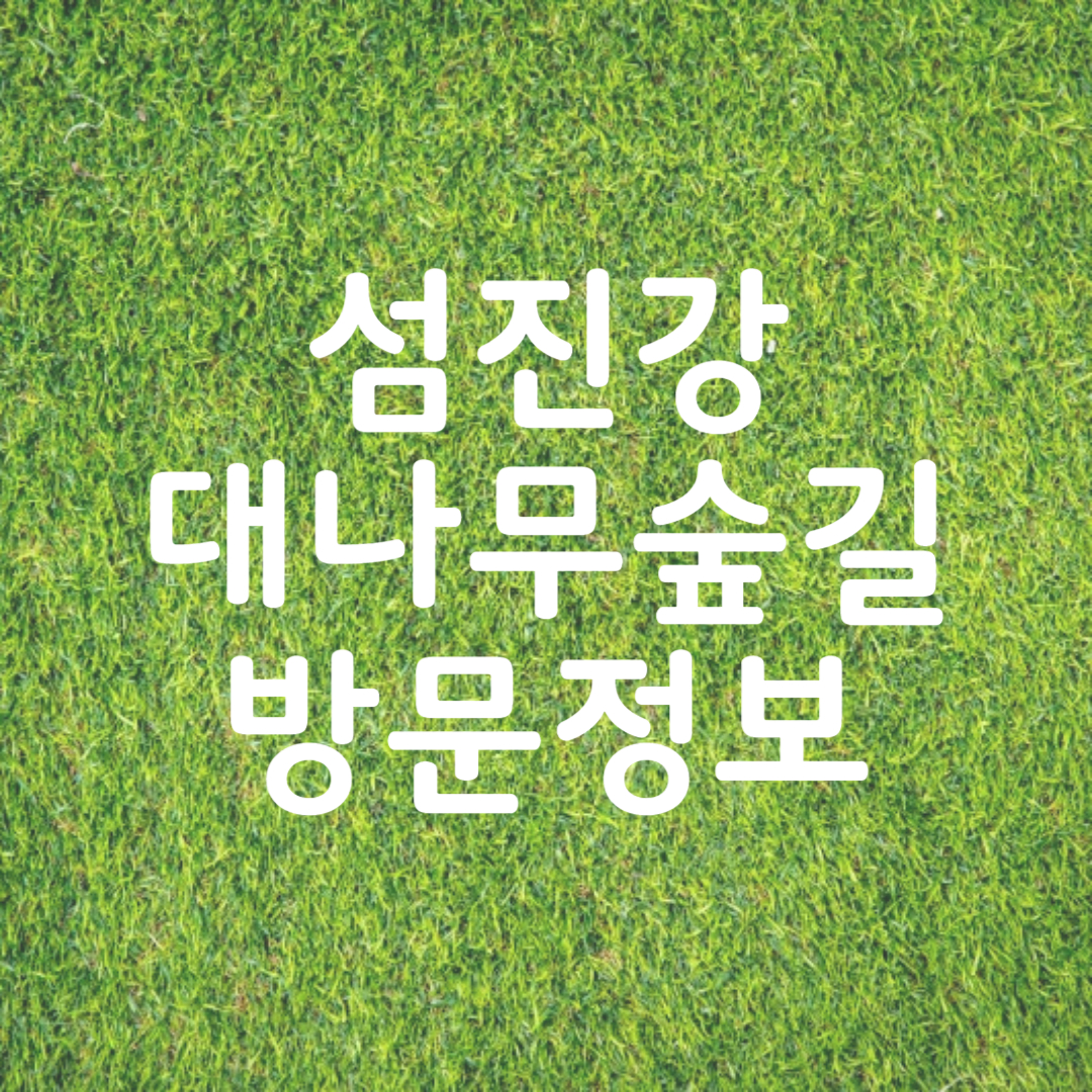 구례 섬진강 대나무숲길