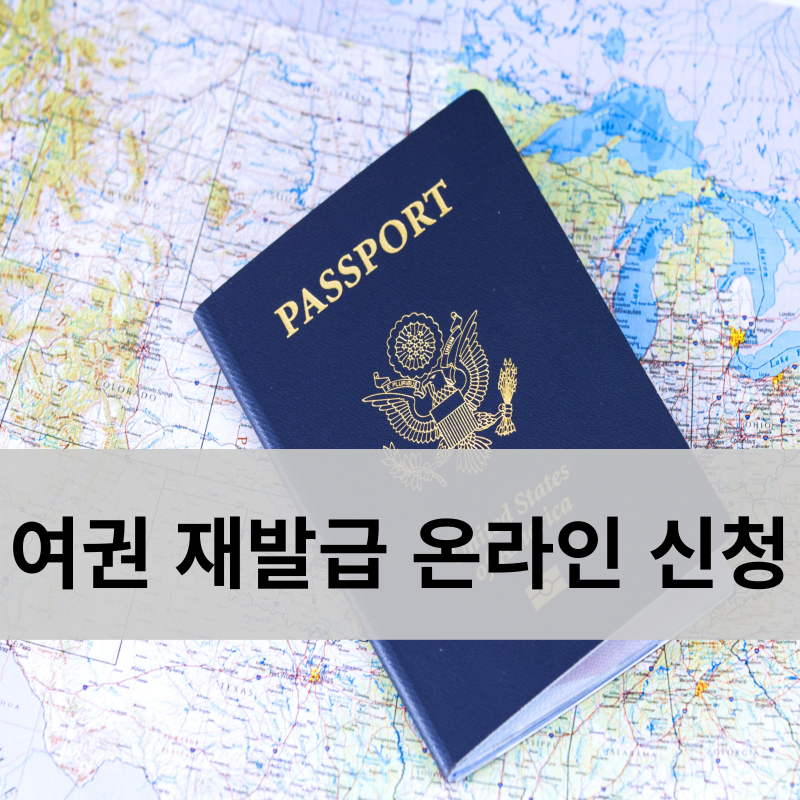 여권 재발급 온라인 신청 방법 신청 대상 확인