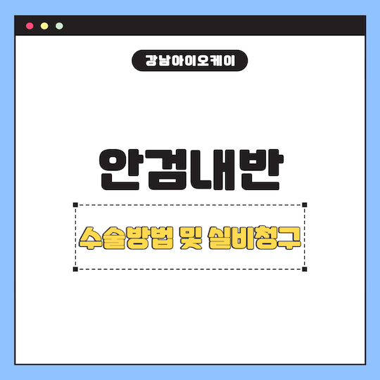 안검내반-수술-실비
