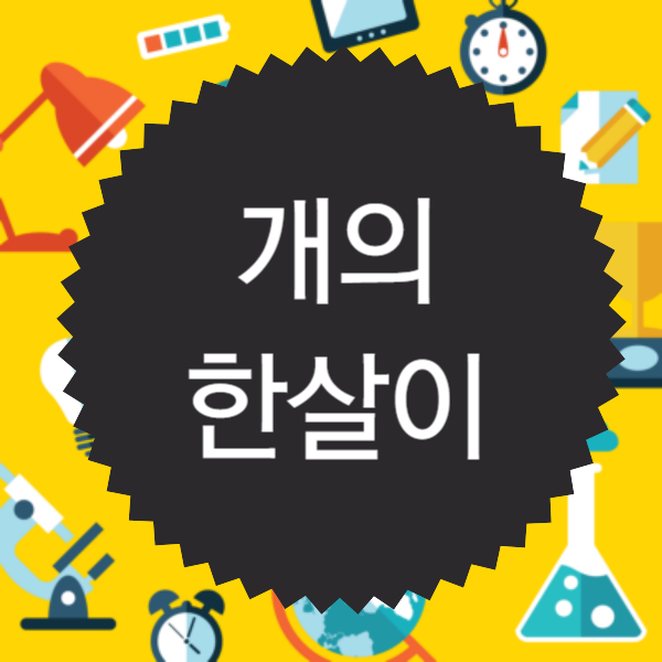 개의 한살이