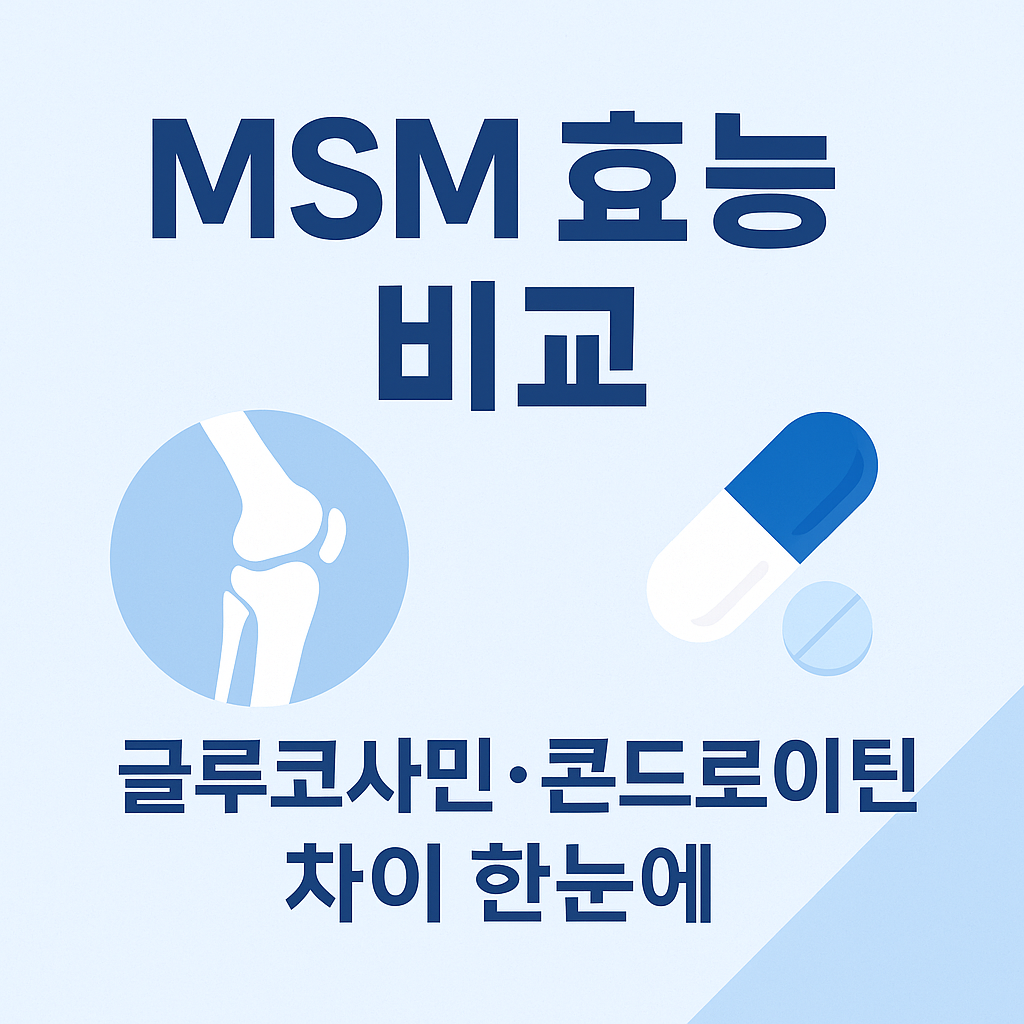 MSM의 효능 부작용 총정리 글루코사민&middot;콘드로이틴과 차이점 비교