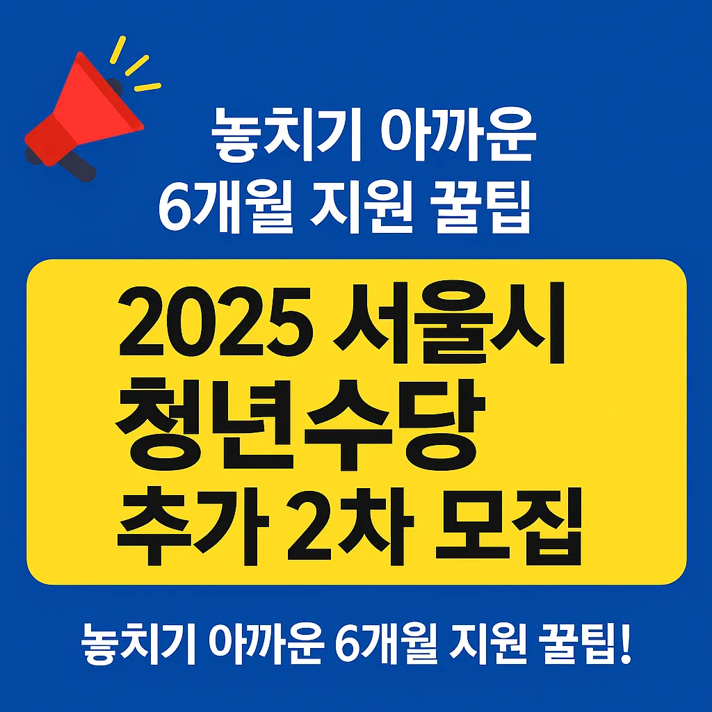 2025 서울시 청년수