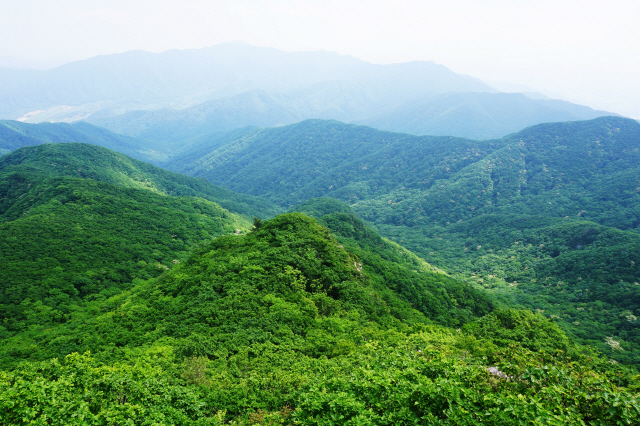 치악산 둘레길 홈페이지