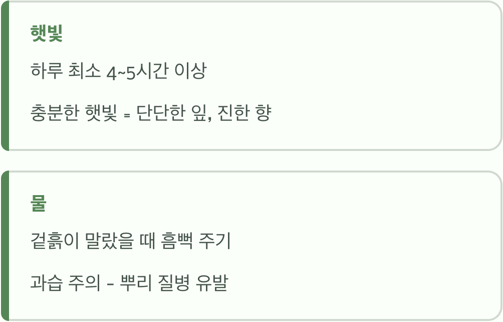 햇빛과 물, 가장 기본적인 관리법