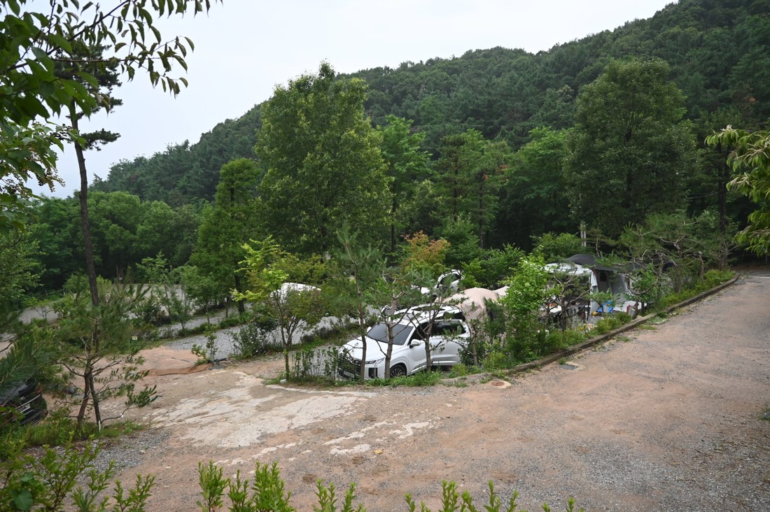 수도권에서 가까운 계곡이 있는 캠핑장 용인 자연숲 캠핑장 다녀왔어요. 캡처 6