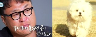 구성환 꽃분이 나이 무지개다리 사망 나혼산 국토대장정
