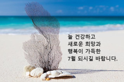 바닷가 모래사장 위 조개껍질과 산호로 꾸민 조형물