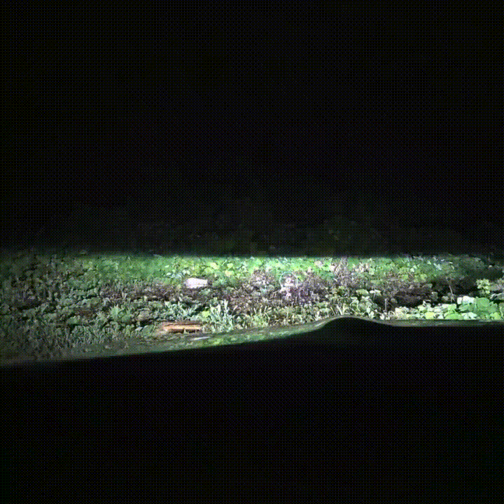 하향등수동으로 조작하여 비췄을때의 장면