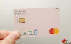 전 국민 연 79만원 지원 교통지원 카드