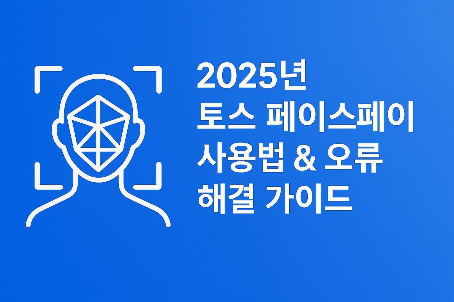 2025년 토스 페이스페이 사용법과 오류 해결 가이드 설명 이미지