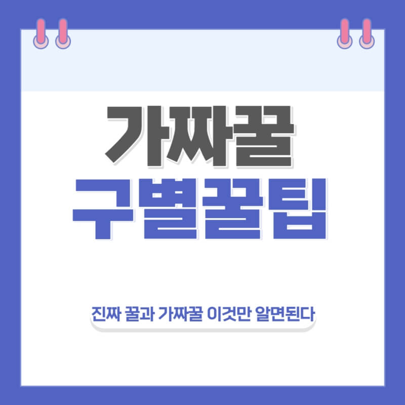 가짜꿀-진짜꿀-구별법-썸네일
