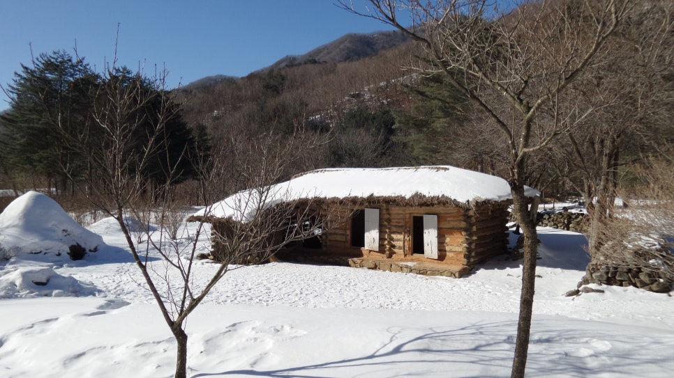 100대 명산 등산하기 평창 계방산(桂芳山, 1,577m) 설악·오대산과 함께 강원도 고산지대의 대표 명산