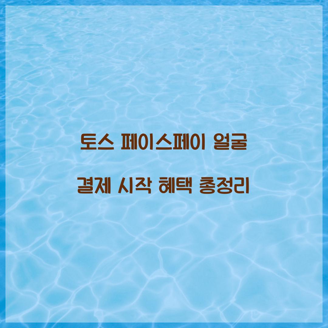 토스 페이스페이