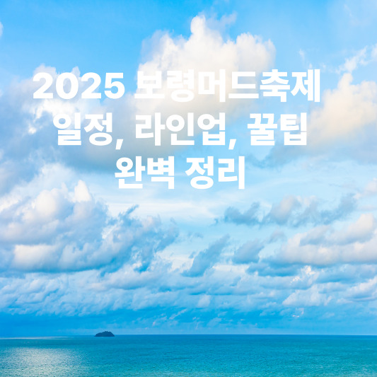 2025 보령머드축제 : 일정, 라인업, 꿀팁, 완벽 정리