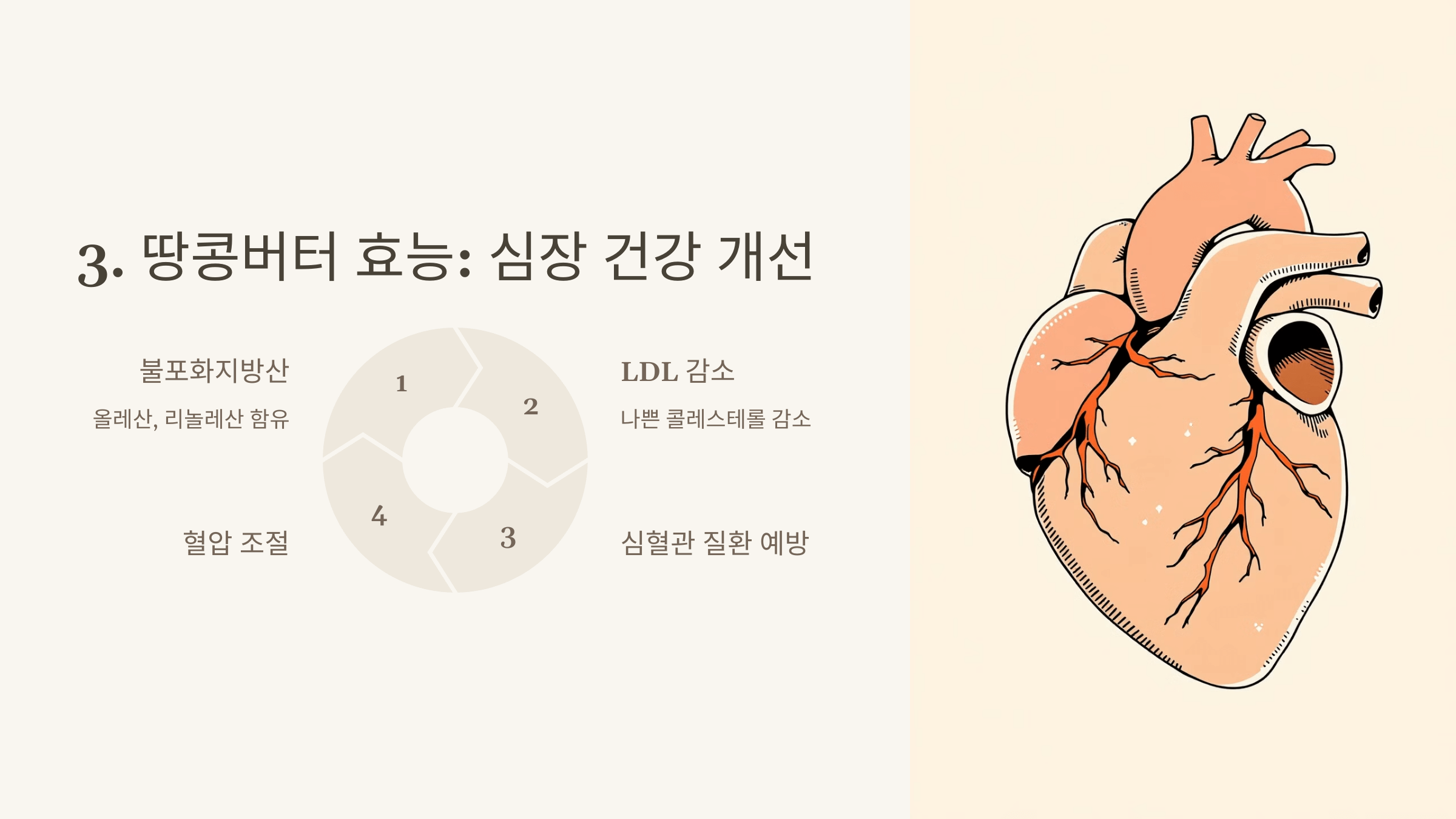 땅콩버터 사진입니다.