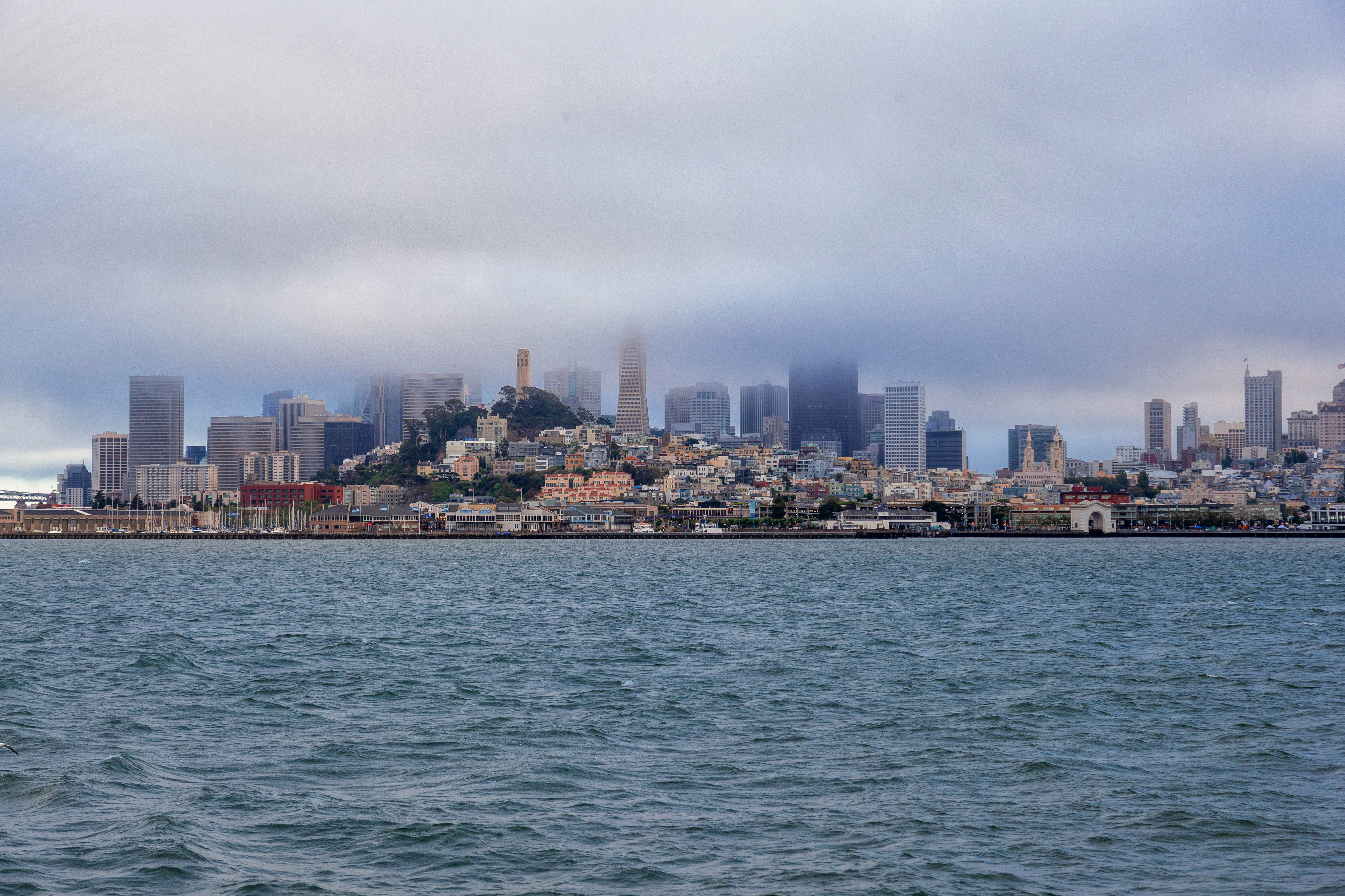 샌프란시스코 전경 사진