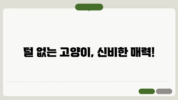 털없는 고양이 종류