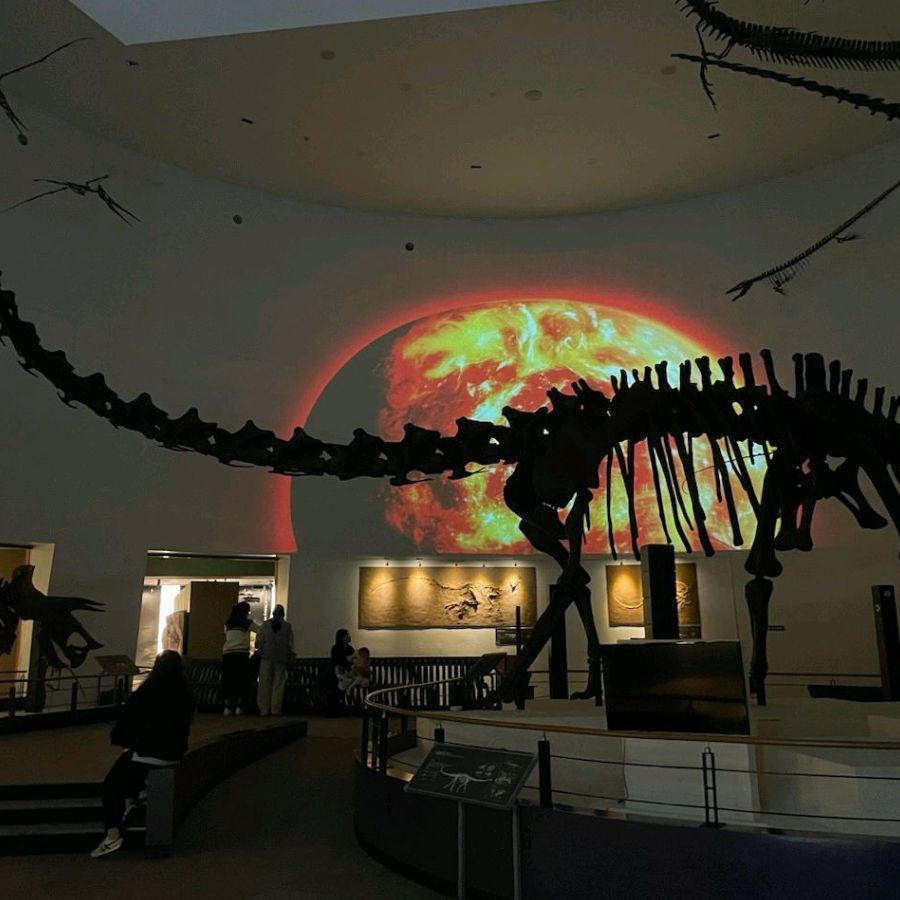 목포자연사박물관