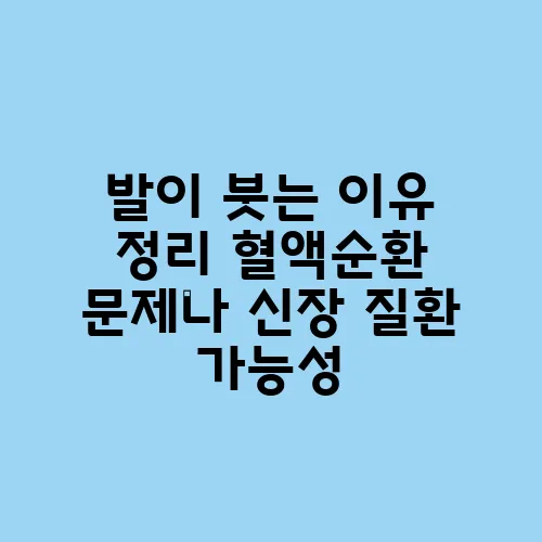 발이 붓는 이유 정리 혈액순환 문제나 신장 질환 가능성