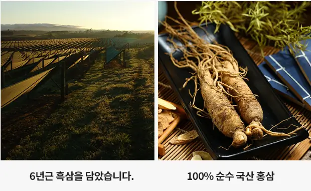 명절선물 흑삼정세트