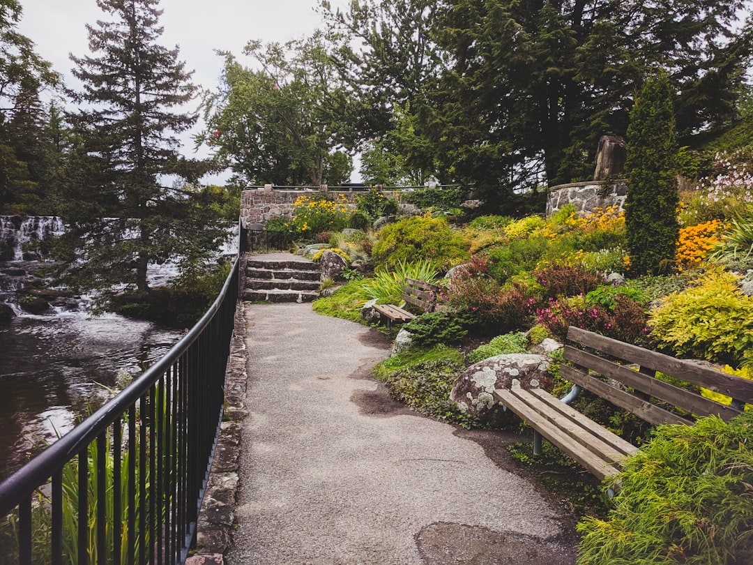 Landscaping