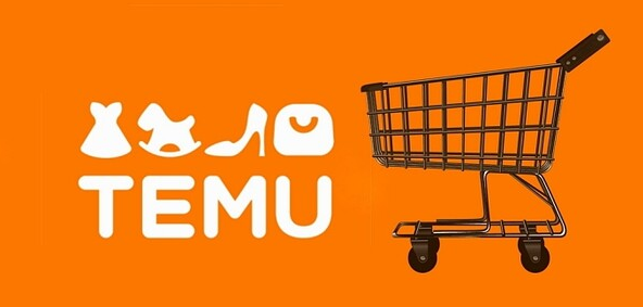 테무 무료사은품