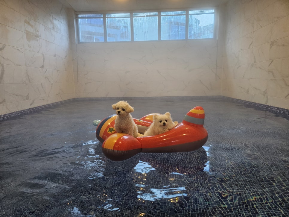 풀스테이 스테이온 가평