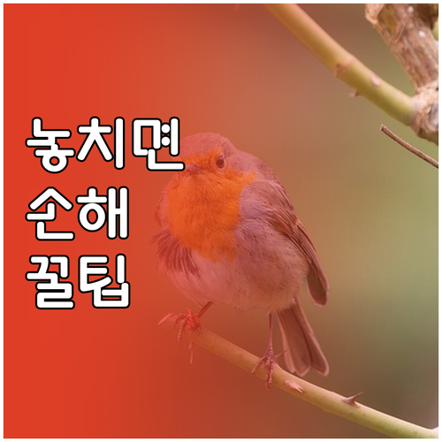 당신의 마스크 보관, 혹시 틀렸다면?..