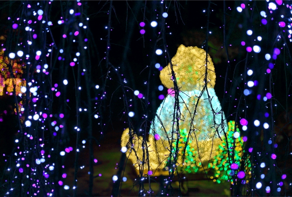 오색별빛정원전