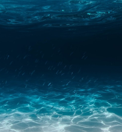 물을 보는 꿈해몽