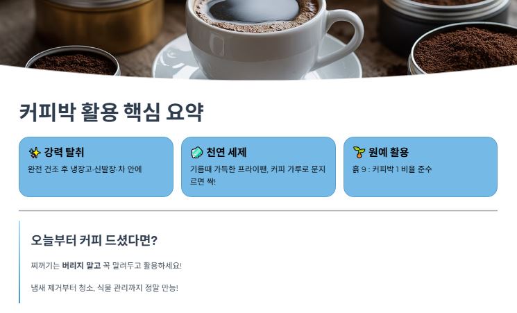 활용 요약