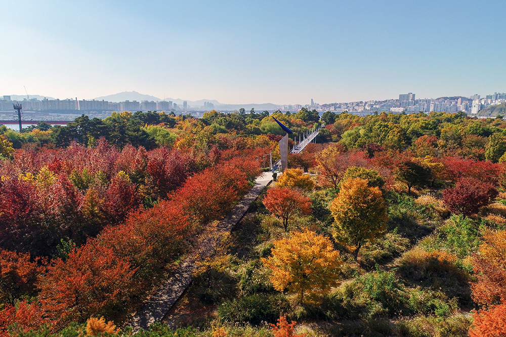 2023-서울-단풍명소